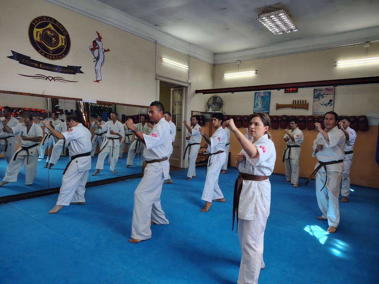 Karate Kyokushin - Imagen 3