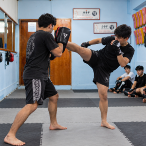 MMA