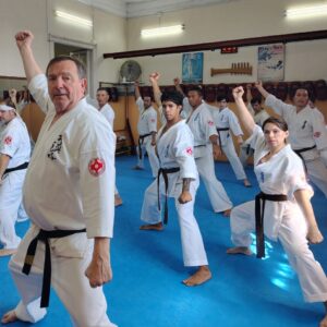 Karate Kyokushin