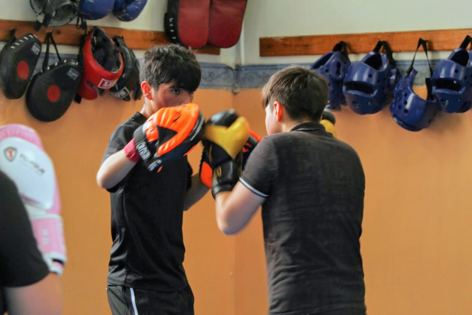 Boxeo